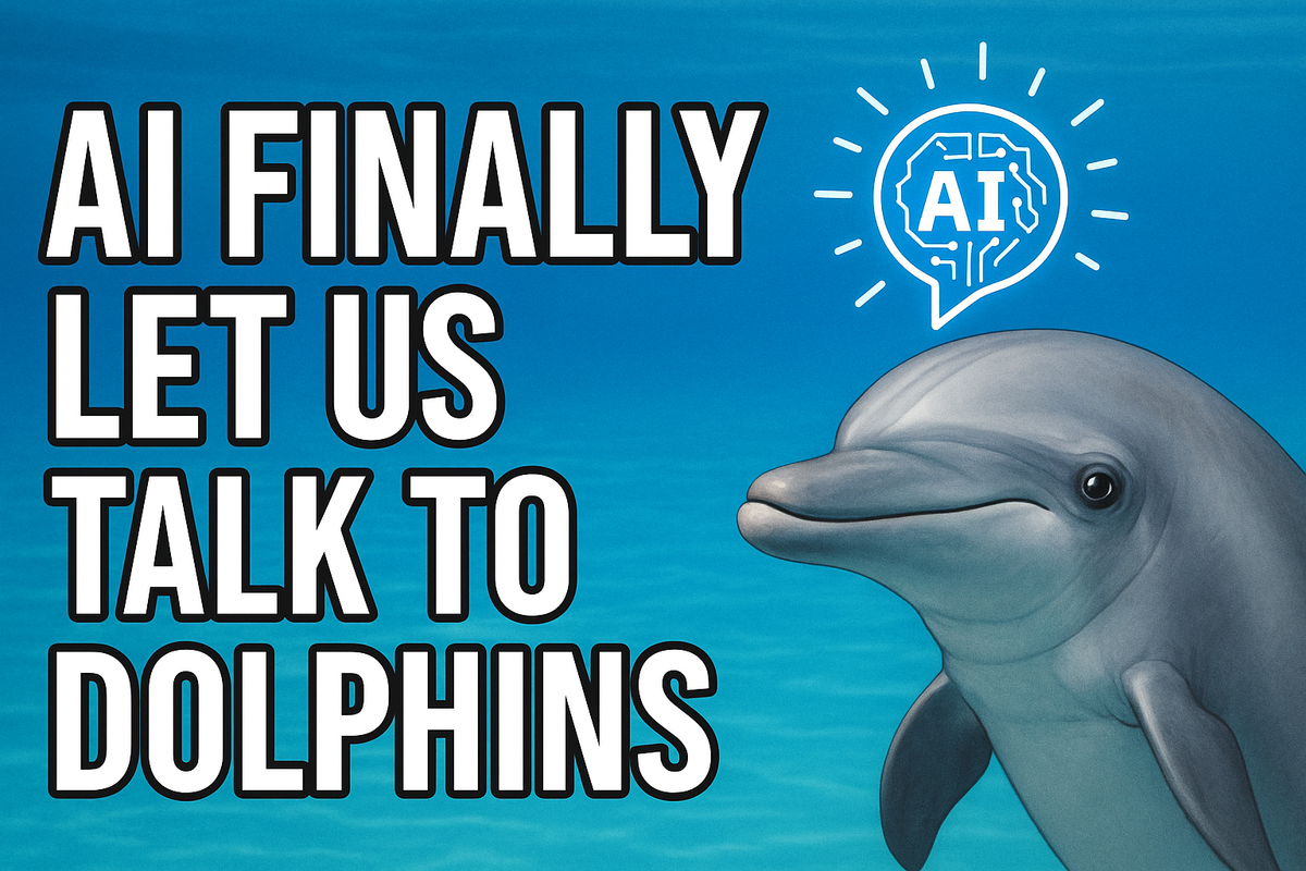 Can AI Finally Let Us Talk to Dolphins? Google’s DolphinGemma Aims to Crack the Code