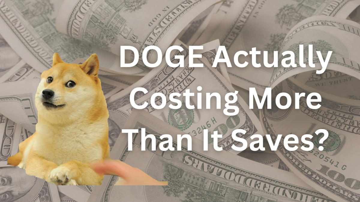 Is Elon Musk's DOGE Actually Costing More Than It Saves?