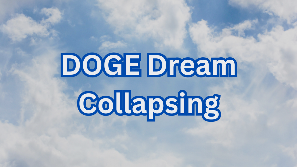Is Elon Musk’s DOGE Dream Collapsing as He Exits Washington?