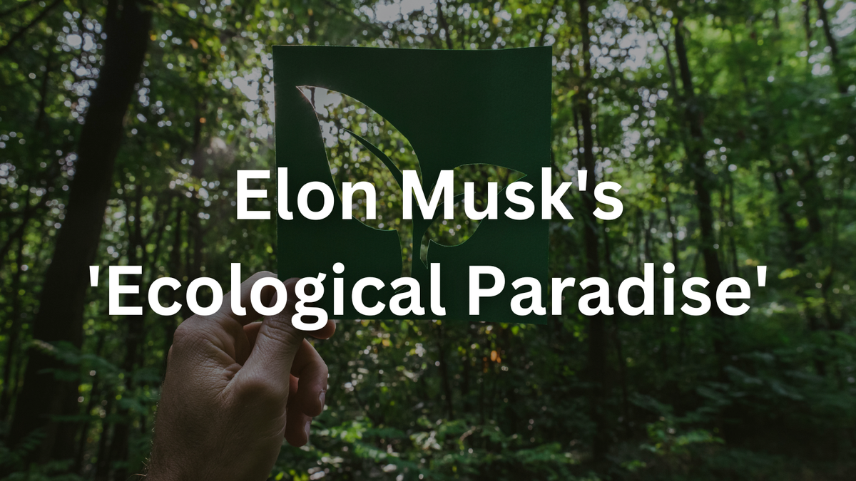 Elon Musk's 'Ecological Paradise': Visionary Park or Corporate Overreach?