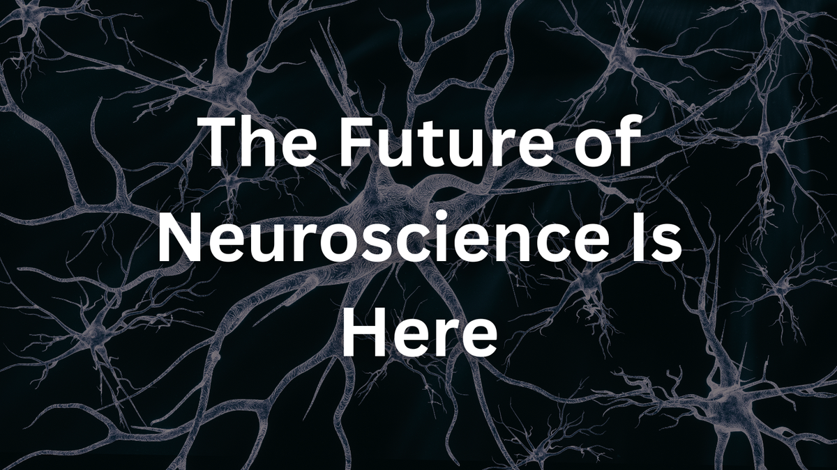 Meet the Mouse Brain’s Digital Twin: The Future of Neuroscience Is Here